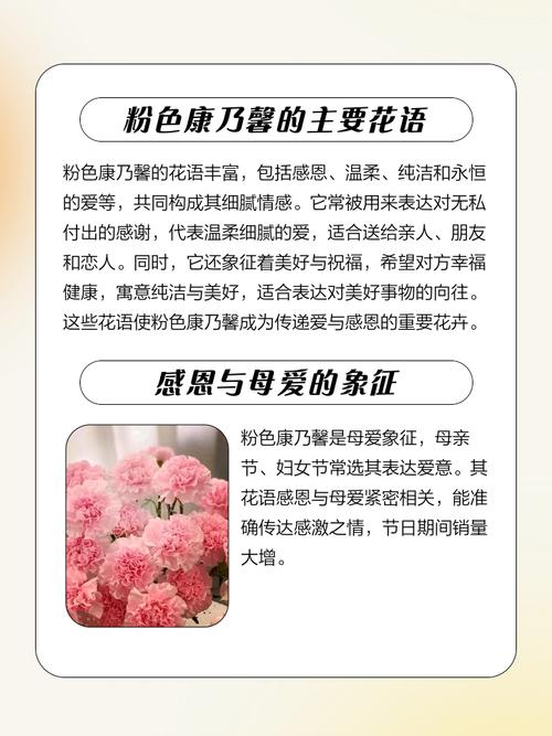 康乃馨有几种颜色，康乃馨有几种颜色代表什么意思？-第7张图片-优品飞百科