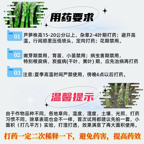 狗舌草的养殖方法和注意事项，狗舌草功效主治图片？-第1张图片-优品飞百科
