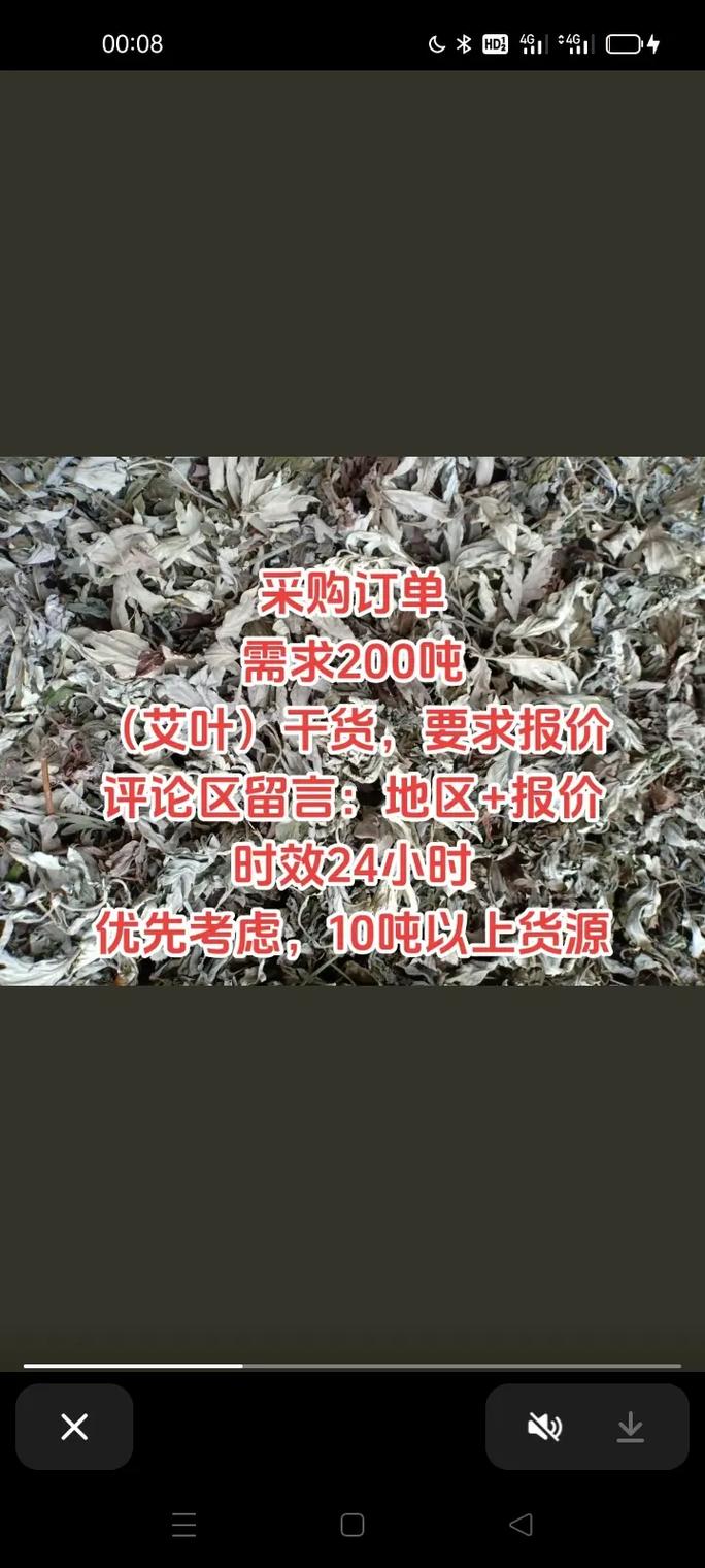 艾草是什么样子的,艾草多少钱一斤,艾草有种的么多少钱一斤-第1张图片-优品飞百科 艾草是什么样子的,艾草多少钱一斤,艾草有种的么多少钱一斤-第1张图片-优品飞百科