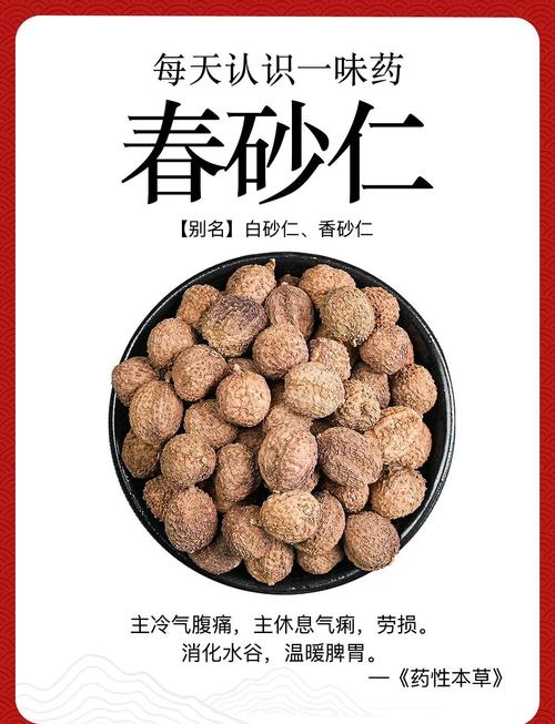 砂仁的主要价值，砂仁的主要价值有哪些-第5张图片-优品飞百科