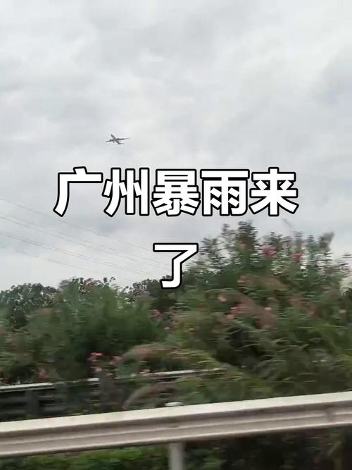 番禺天气预报一周7天，广州7月18日天气预报-第4张图片-优品飞百科