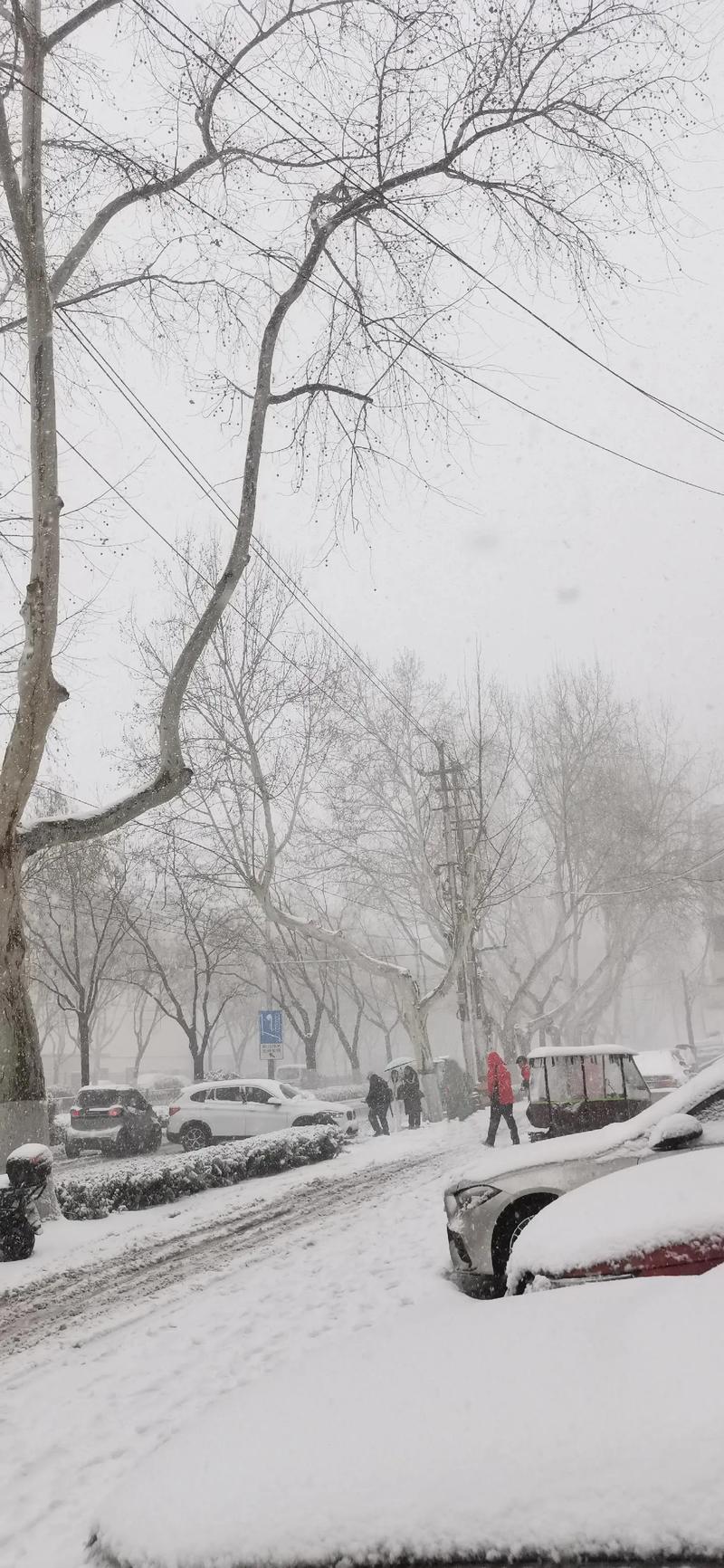 临猗县天气预报？运城临猗县天气预报？-第3张图片-优品飞百科