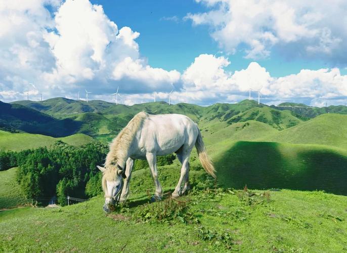 徐州市铜山区天气预报，徐州铜山区的天气预报-第5张图片-优品飞百科