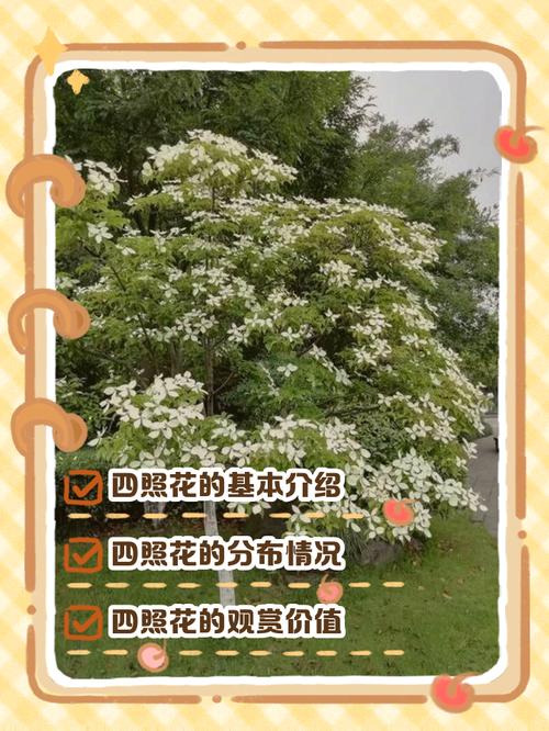 峨眉四照花的养殖方法,峨眉四美-第3张图片-优品飞百科 峨眉四照花的养殖方法,峨眉四美-第3张图片-优品飞百科