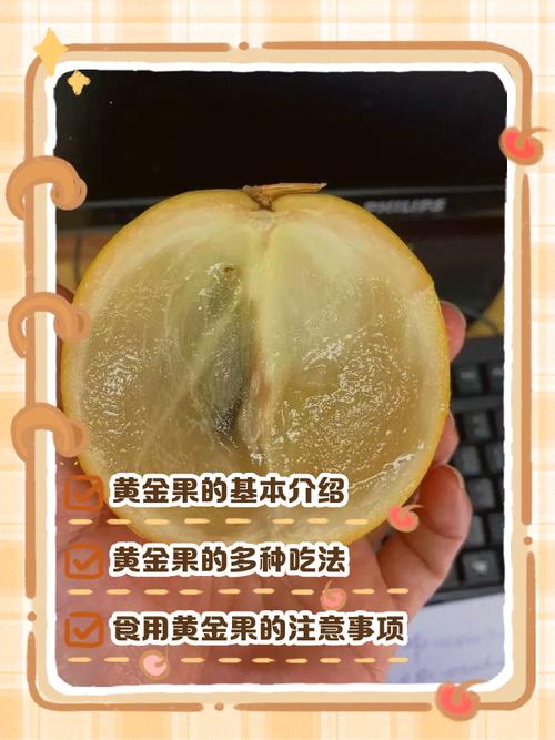 乳茄可以吃吗，有什么功效与作用，乳茄可以吃吗,有什么功效与作用禁忌？-第3张图片-优品飞百科