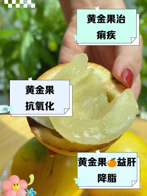 乳茄可以吃吗，有什么功效与作用，乳茄可以吃吗,有什么功效与作用禁忌？-第5张图片-优品飞百科