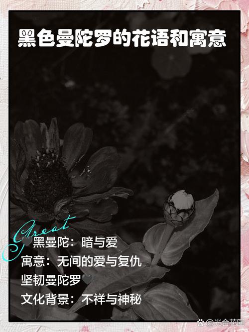 曼陀罗花的寓意，曼陀罗是什么意思，曼陀罗花是干嘛的？-第6张图片-优品飞百科