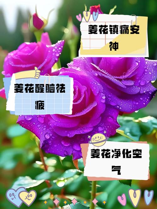 姜花有毒吗，可以吃吗？姜花有什么药用价值？-第2张图片-优品飞百科