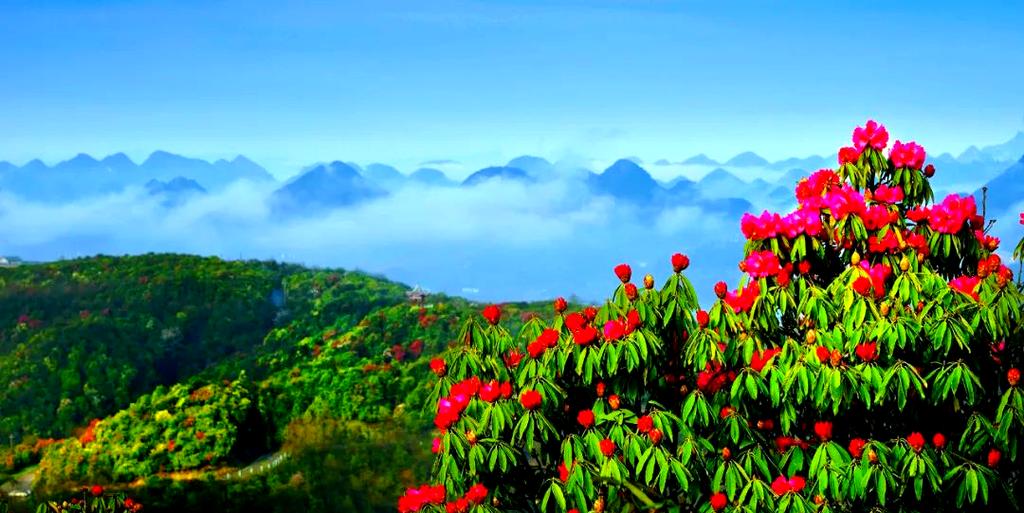 奉节一周天气预报？奉节天气预报一周天气24小时？-第6张图片-优品飞百科