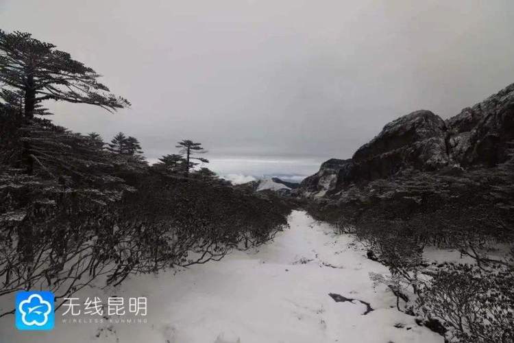 云南近期天气预报，云南近几天的天气预报情况？-第1张图片-优品飞百科