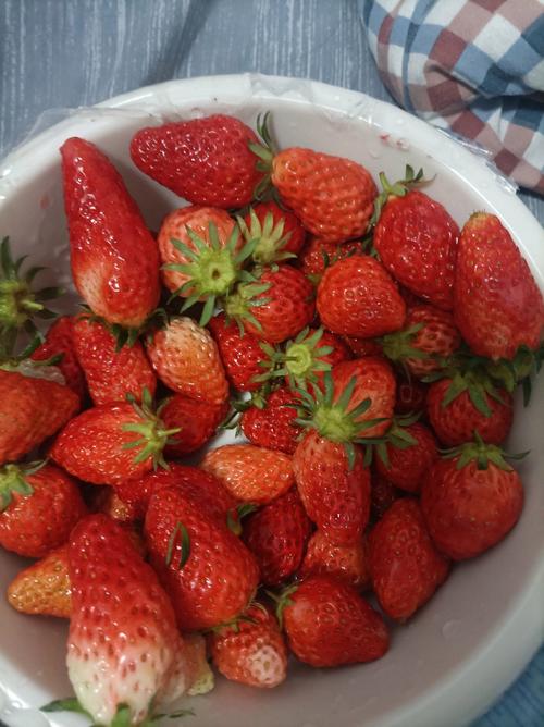 草莓多少钱一斤,现在草莓多少钱一斤?-第3张图片-优品飞百科 草莓多少钱一斤,现在草莓多少钱一斤?-第3张图片-优品飞百科