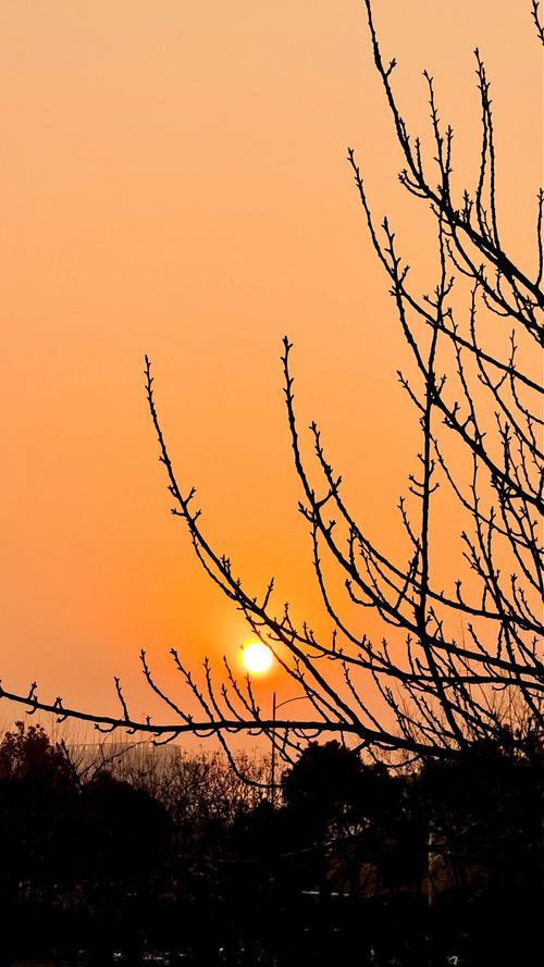 辽宁朝阳天气实时，辽宁 朝阳 天气？-第3张图片-优品飞百科