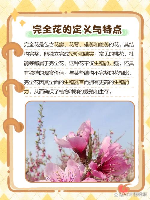 完全花有哪些花?完全花都有哪些花?-第2张图片-优品飞百科 完全花有哪些花?完全花都有哪些花?-第2张图片-优品飞百科