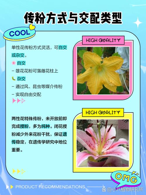 完全花有哪些花?完全花都有哪些花?-第6张图片-优品飞百科 完全花有哪些花?完全花都有哪些花?-第6张图片-优品飞百科