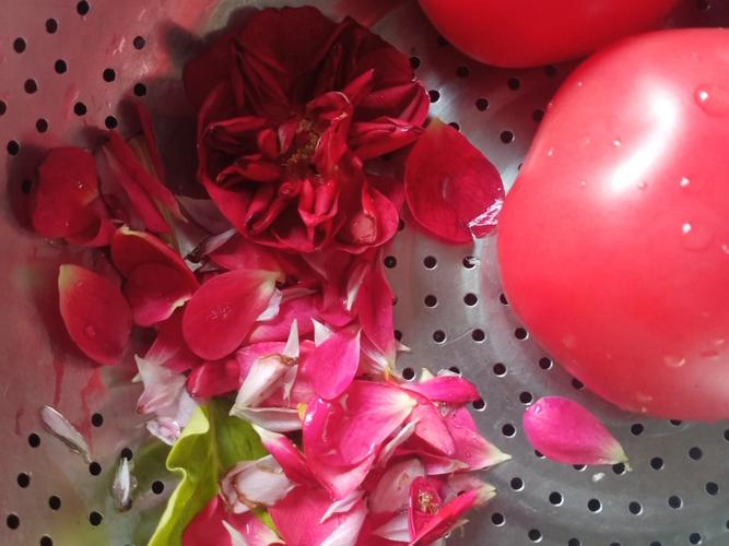 大马士革玫瑰能吃吗?大马士革玫瑰别名?-第2张图片-优品飞百科 大马士革玫瑰能吃吗?大马士革玫瑰别名?-第2张图片-优品飞百科