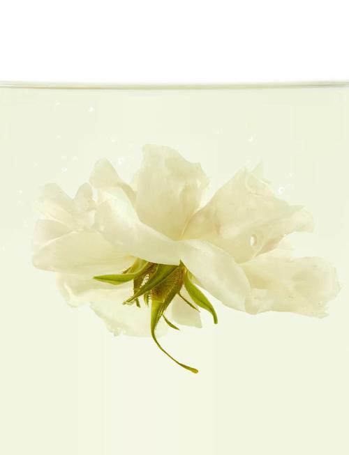 大马士革玫瑰能吃吗?大马士革玫瑰别名?-第4张图片-优品飞百科 大马士革玫瑰能吃吗?大马士革玫瑰别名?-第4张图片-优品飞百科