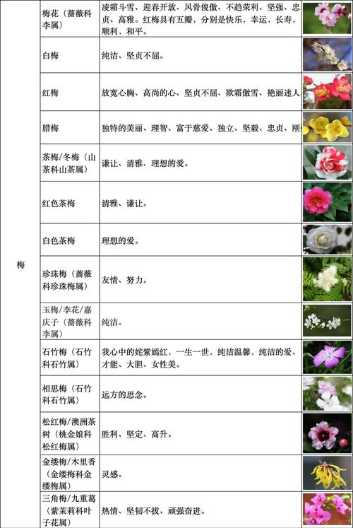 海紫苑的功效和作用？海藏紫苑散的组方？-第3张图片-优品飞百科
