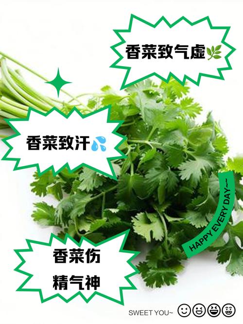 男人吃香菜好吗，男人吃香菜的坏处？男人吃香菜好吗,男人吃香菜的坏处？