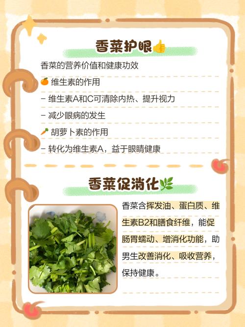 男人吃香菜好吗，男人吃香菜的坏处？男人吃香菜好吗,男人吃香菜的坏处？-第2张图片-优品飞百科