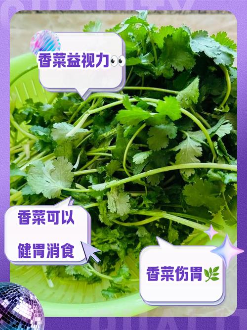 男人吃香菜好吗，男人吃香菜的坏处？男人吃香菜好吗,男人吃香菜的坏处？-第3张图片-优品飞百科