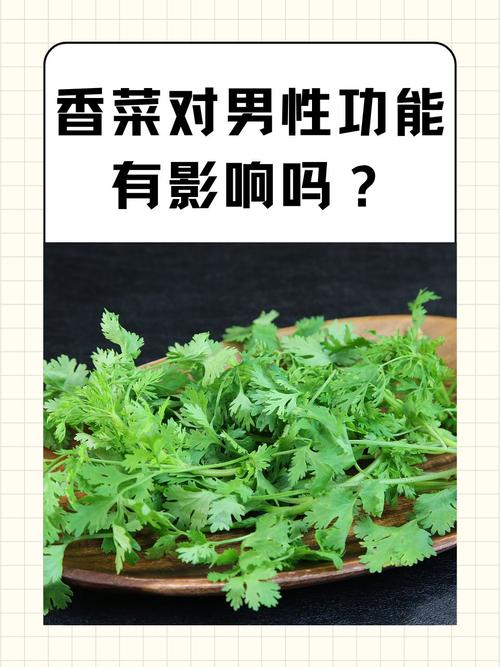 男人吃香菜好吗，男人吃香菜的坏处？男人吃香菜好吗,男人吃香菜的坏处？-第5张图片-优品飞百科