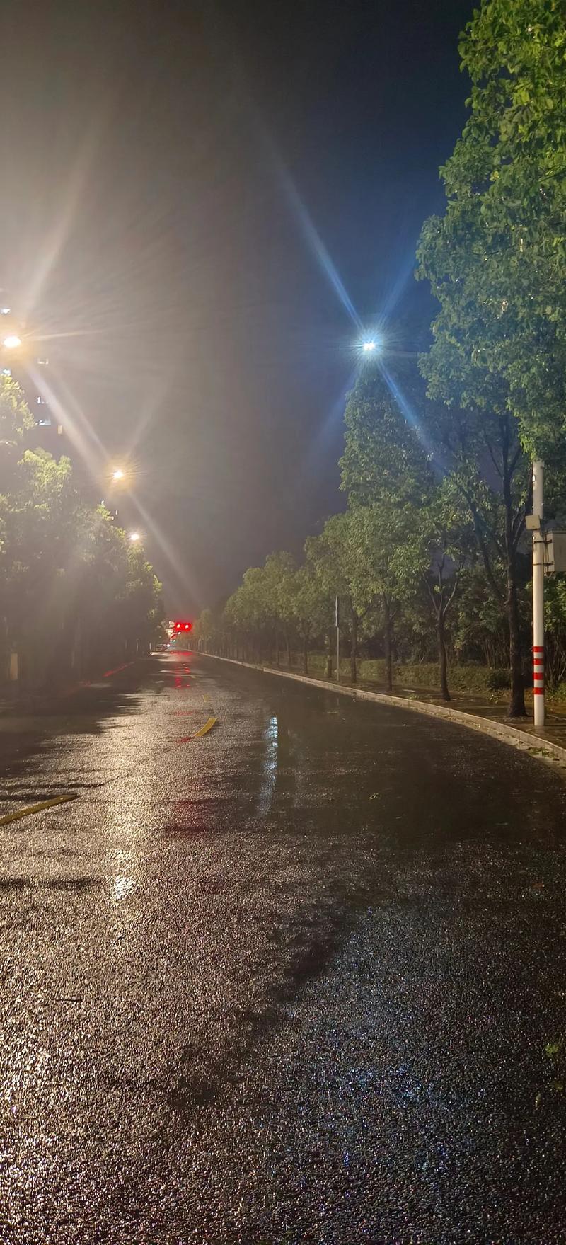 上海天气临港新城天气？上海临港天气实时24小时？-第2张图片-优品飞百科