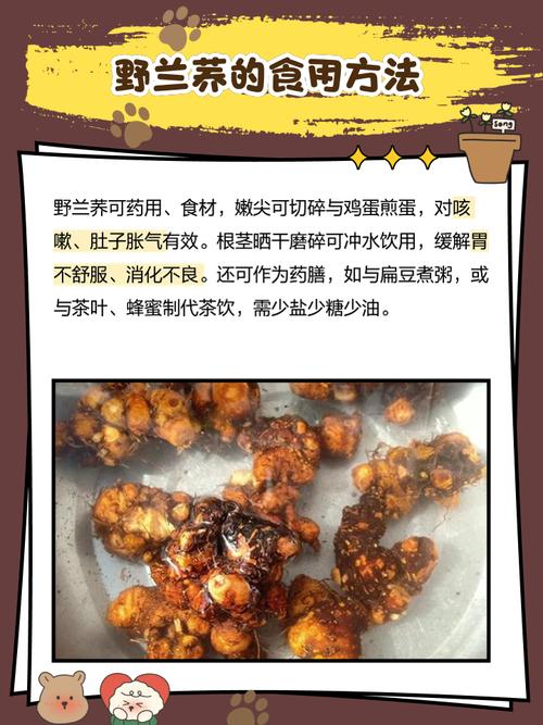 野荞麦叶子可以吃吗，野荞麦叶子吃了会中毒吗？-第5张图片-优品飞百科