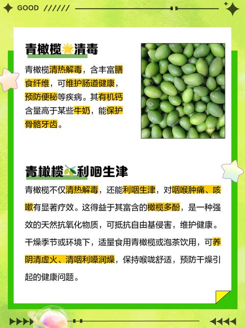 青橄榄的功效与作用，福建青橄榄的功效与作用-第1张图片-优品飞百科