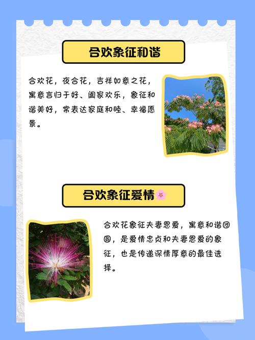 合欢花的花语及传说，合欢花的花语是什么?-第1张图片-优品飞百科