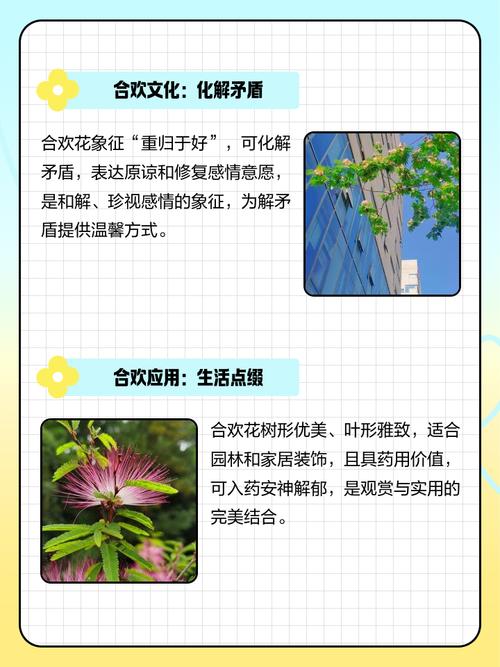 合欢花的花语及传说，合欢花的花语是什么?-第4张图片-优品飞百科