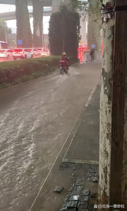 上海闵行天气实时情况最新，上海闵行天气实时情况最新查询-第8张图片-优品飞百科