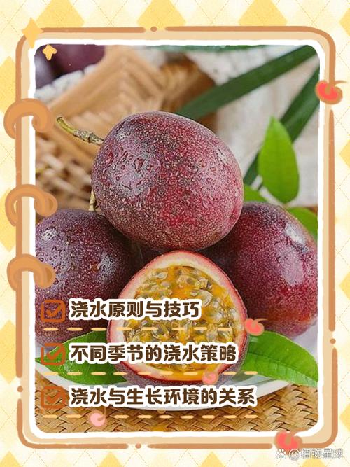 多香果的养殖方法?多香果树?-第1张图片-优品飞百科 多香果的养殖方法?多香果树?-第1张图片-优品飞百科