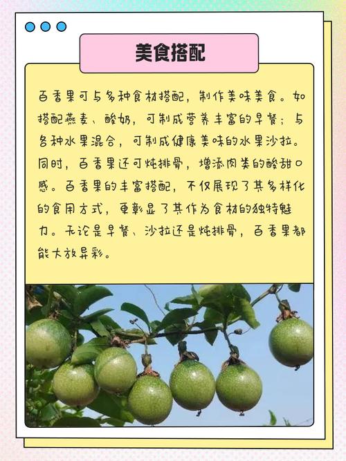 多香果的养殖方法?多香果树?-第2张图片-优品飞百科 多香果的养殖方法?多香果树?-第2张图片-优品飞百科