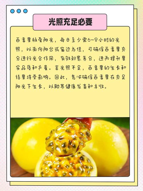 多香果的养殖方法?多香果树?-第3张图片-优品飞百科 多香果的养殖方法?多香果树?-第3张图片-优品飞百科