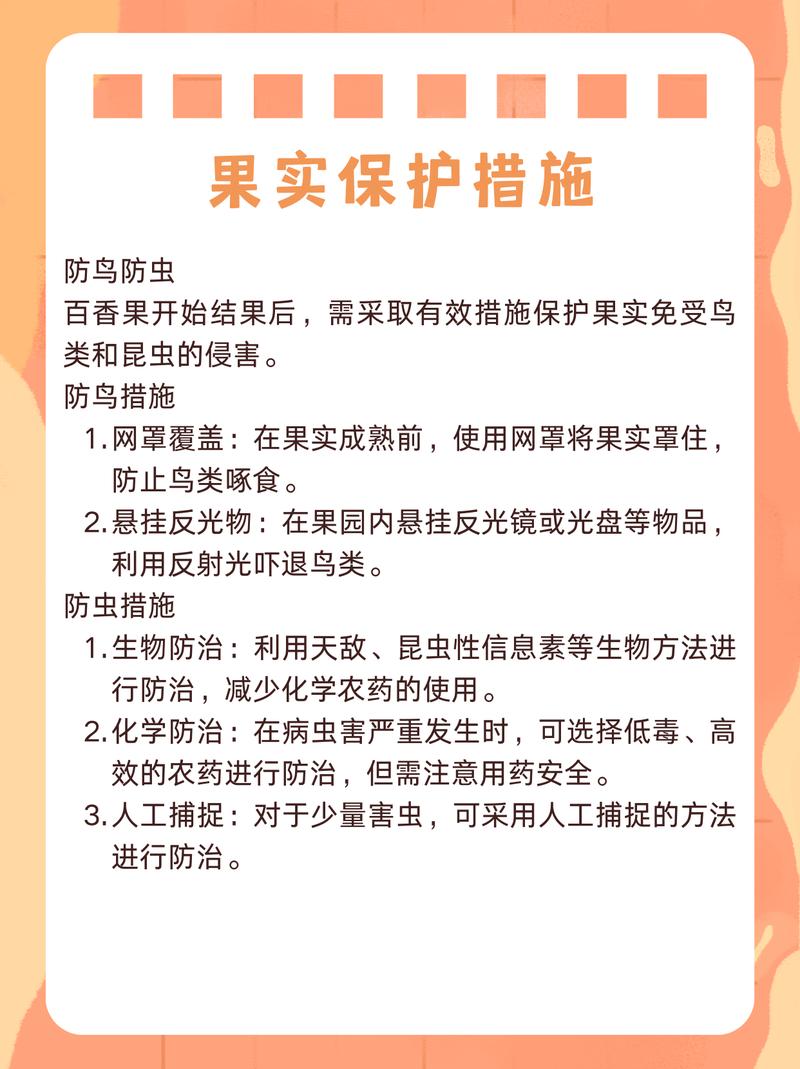 多香果的养殖方法?多香果树?-第8张图片-优品飞百科 多香果的养殖方法?多香果树?-第8张图片-优品飞百科