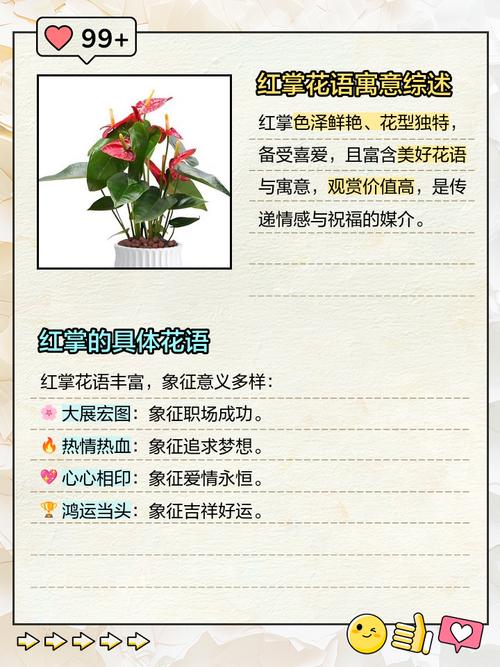 红掌的寓意是什么，红掌的寓意是什么意思-第2张图片-优品飞百科