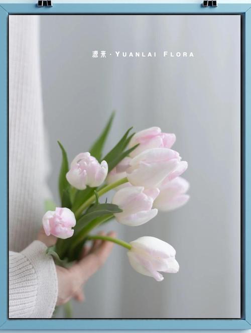 什么花代表初恋,什么花代表初恋的意思?-第5张图片-优品飞百科 什么花代表初恋,什么花代表初恋的意思?-第5张图片-优品飞百科