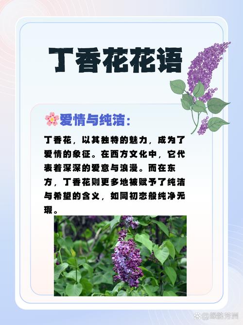 什么花代表初恋,什么花代表初恋的意思?-第6张图片-优品飞百科 什么花代表初恋,什么花代表初恋的意思?-第6张图片-优品飞百科
