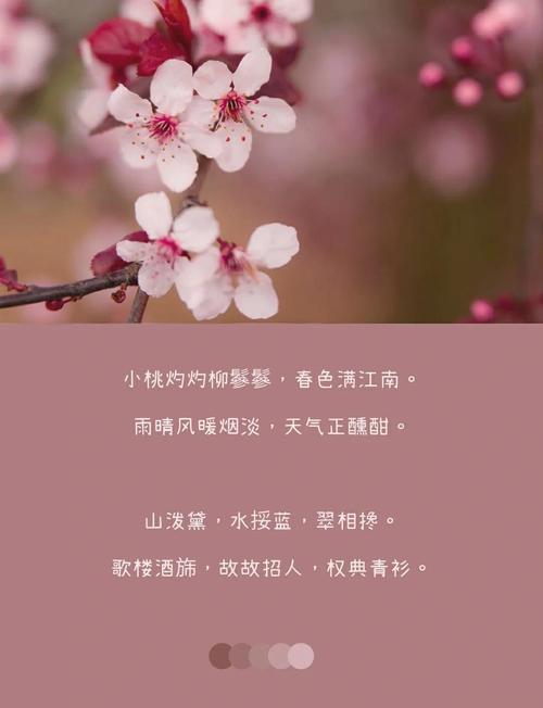 桃花是什么意思,桃花的图片,桃花是什么意思,桃花的图片怎么画?-第1张图片-优品飞百科 桃花是什么意思,桃花的图片,桃花是什么意思,桃花的图片怎么画?-第1张图片-优品飞百科
