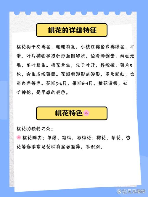 桃花是什么意思,桃花的图片,桃花是什么意思,桃花的图片怎么画?-第4张图片-优品飞百科 桃花是什么意思,桃花的图片,桃花是什么意思,桃花的图片怎么画?-第4张图片-优品飞百科