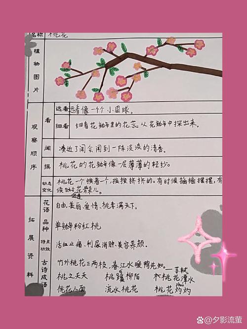 桃花是什么意思,桃花的图片,桃花是什么意思,桃花的图片怎么画?-第7张图片-优品飞百科 桃花是什么意思,桃花的图片,桃花是什么意思,桃花的图片怎么画?-第7张图片-优品飞百科