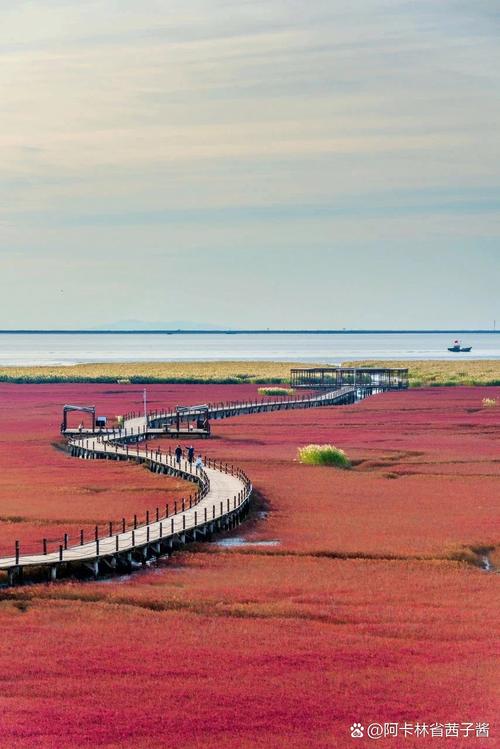 盘锦大洼天气预报？盘锦大洼的天气情况？-第1张图片-优品飞百科