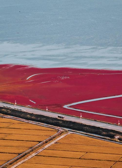 盘锦大洼天气预报？盘锦大洼的天气情况？-第5张图片-优品飞百科