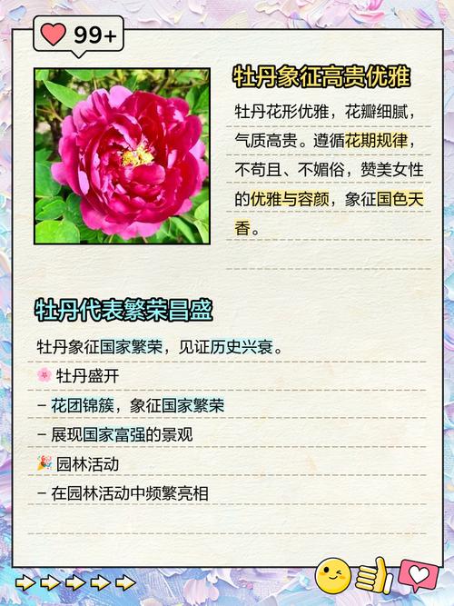 牡丹花的花语,牡丹花的花语是什么-第4张图片-优品飞百科 牡丹花的花语,牡丹花的花语是什么-第4张图片-优品飞百科