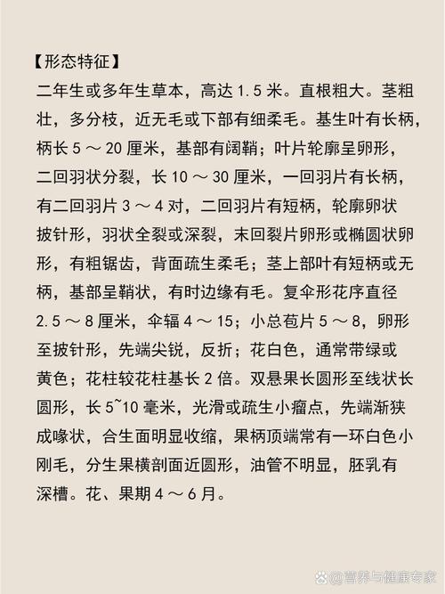 峨参的功效与作用，山参的功效和作用？-第1张图片-优品飞百科