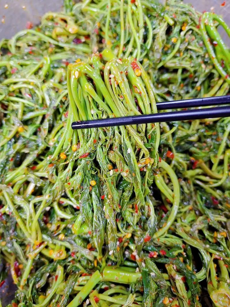 香椿芽怎么吃，香椿芽怎么吃不中毒？-第2张图片-优品飞百科