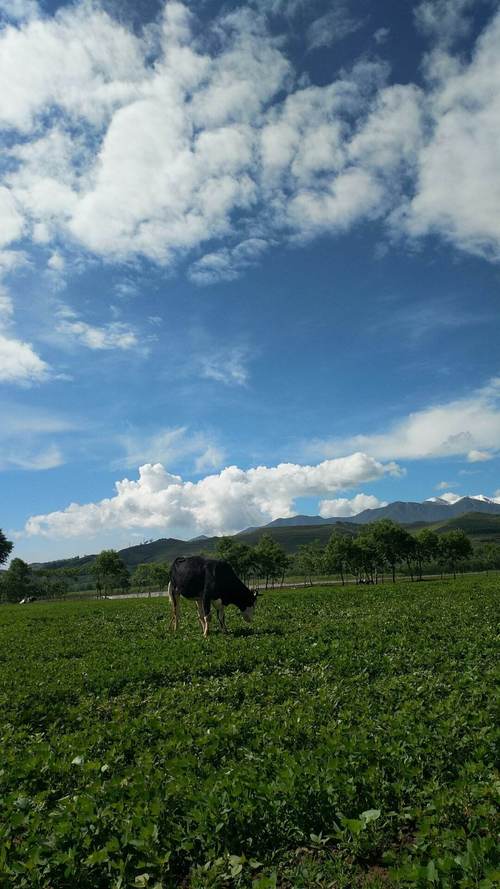 林县天气预报，云南石林县天气预报-第6张图片-优品飞百科