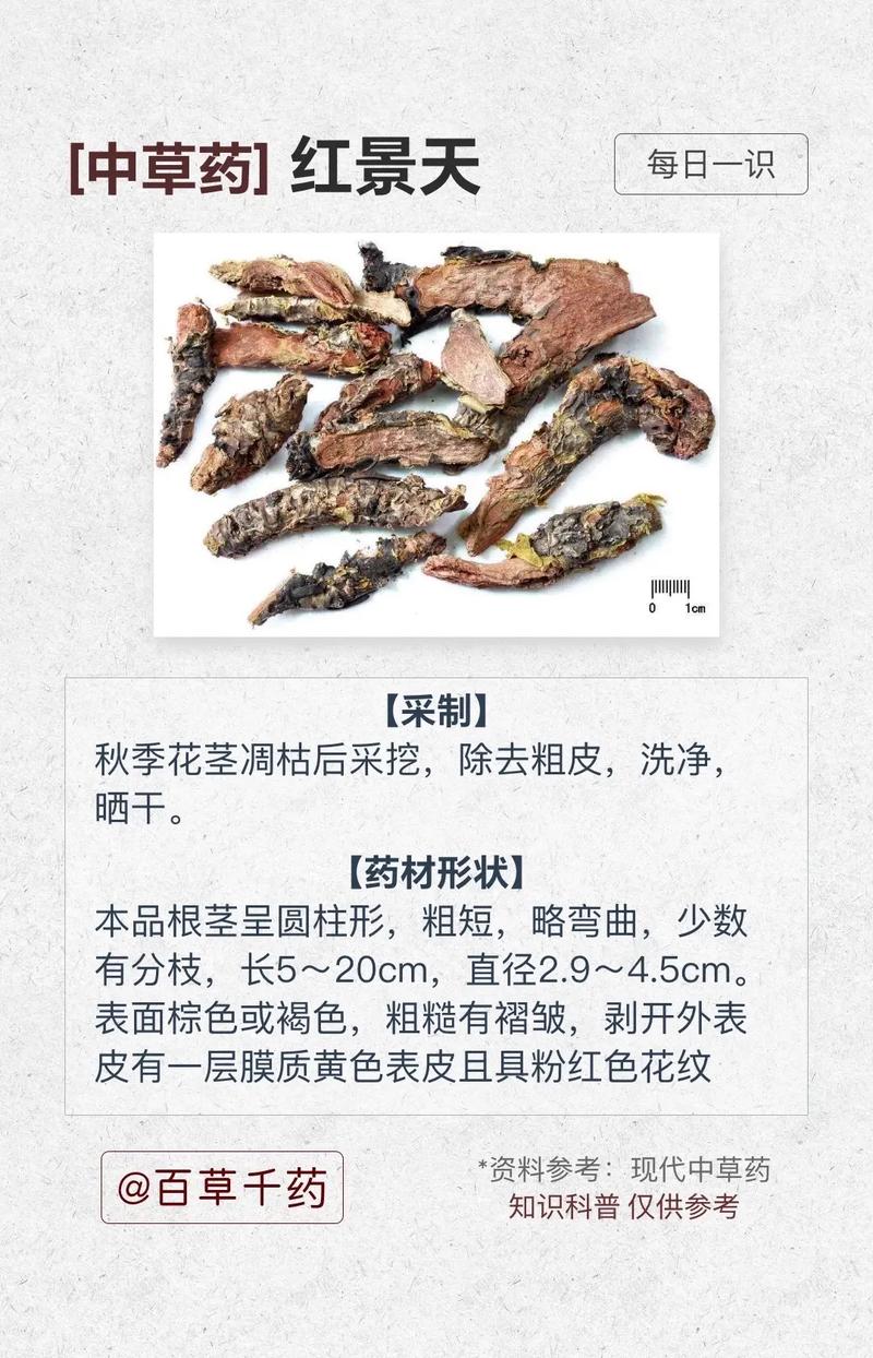 红景天的功效与作用，红景天的功效与作用点？-第4张图片-优品飞百科