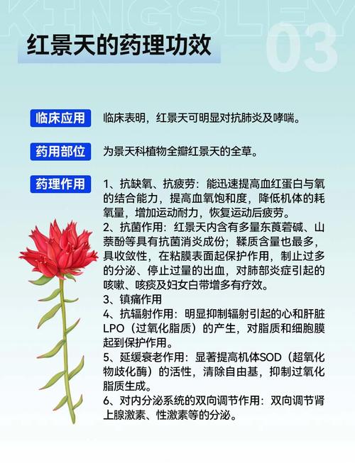 红景天的功效与作用，红景天的功效与作用点？-第7张图片-优品飞百科
