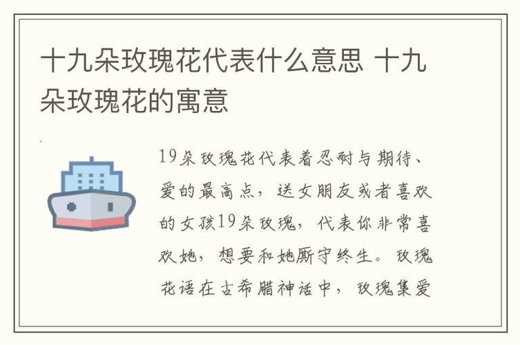 19朵玫瑰代表什么?99朵红玫瑰的花语是什么意思?-第1张图片-优品飞百科 19朵玫瑰代表什么?99朵红玫瑰的花语是什么意思?-第1张图片-优品飞百科